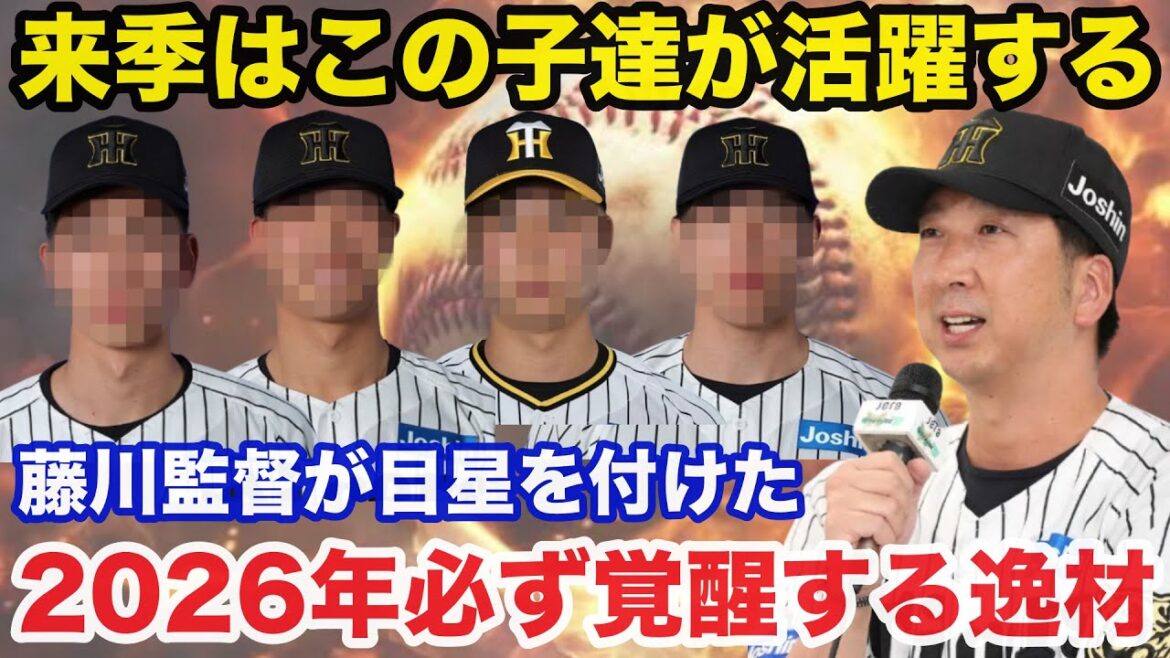 阪神.藤川監督が密かに期待する2026年必ず覚醒するであろう逸材がコチラ【阪神タイガース】 阪神.藤川監督が密かに期待する2026年必ず覚醒するであろう逸材がコチラ【阪神タイガース】