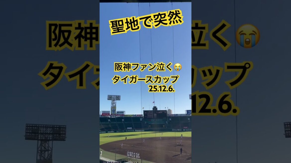 #阪神甲子園球場 #栄光の架橋 #タイガースカップ #hanshintigers #阪神タイガース #甲子園 #koshien