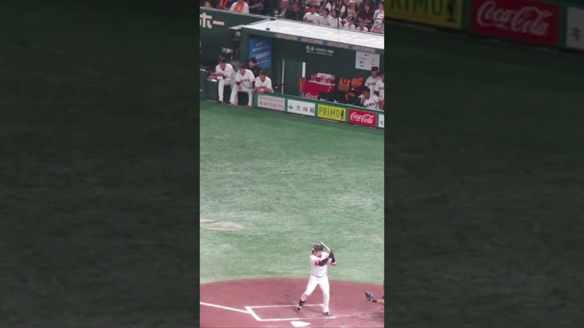 【巨人ベンチ】6回 丸佳浩がフォアボールを選んだ時（読売ジャイアンツ 対 横浜DeNAベイスターズ 2024年9月19日）