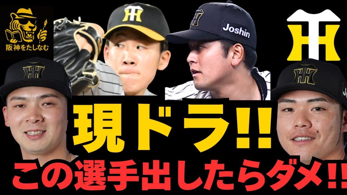 【阪神現役ドラフト徹底考察‼️】入退団から見えてくる‼️選ぶのはこの選手だ‼️　　　＃阪神タイガース #立石正広 ＃キャムデバニー 　#阪神 考察＃阪神　打順＃阪神　ルーカス＃阪神　補強