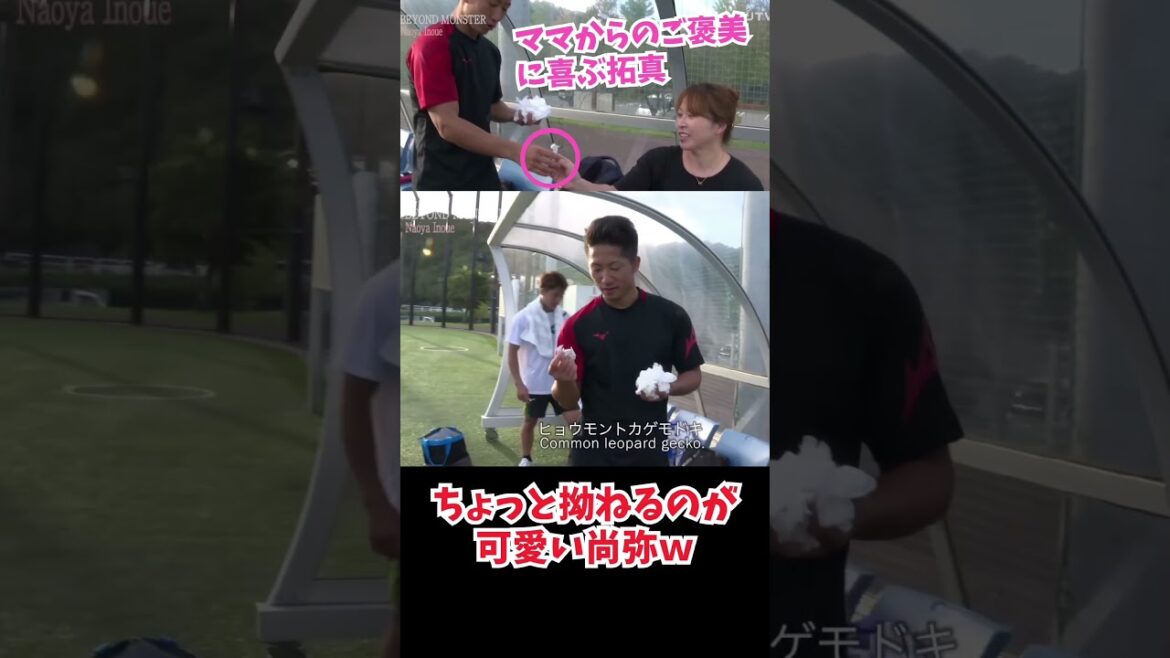 ママからの意外なご褒美に大喜びの井上拓真！そしてそれにちょっと拗ねる兄の尚弥（笑）#boxing #井上拓真 #shorts