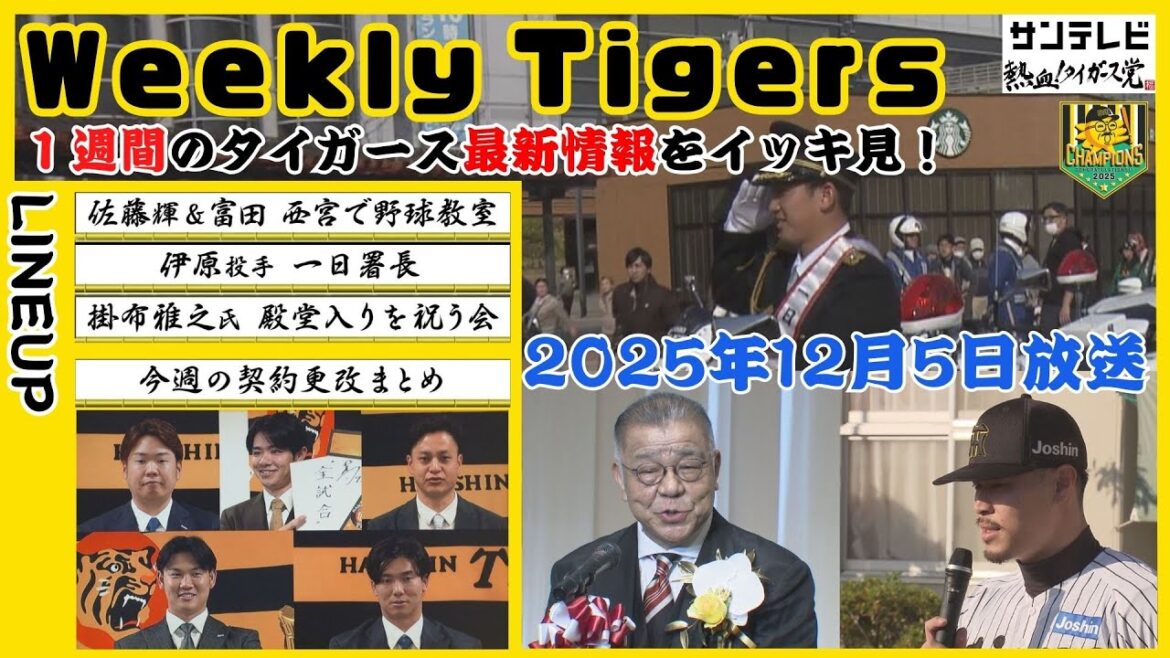 【11/29～12/5のタイガース情報🐯】中野拓夢選手と振り返る1週間！自身の契約更改のニュースにニンマリ＆ダンマリ？！ #熱血タイガース党