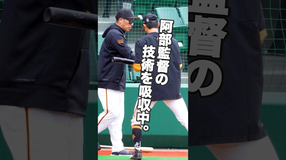 舟越秀虎｜阿部監督から“直伝の一振り”。足だけじゃない武器を磨く。【巨人】#舟越秀虎 #阿部慎之助 #巨人 #ジャイアンツ #秋季キャンプ #プロ野球 #育成選手 #GFocus