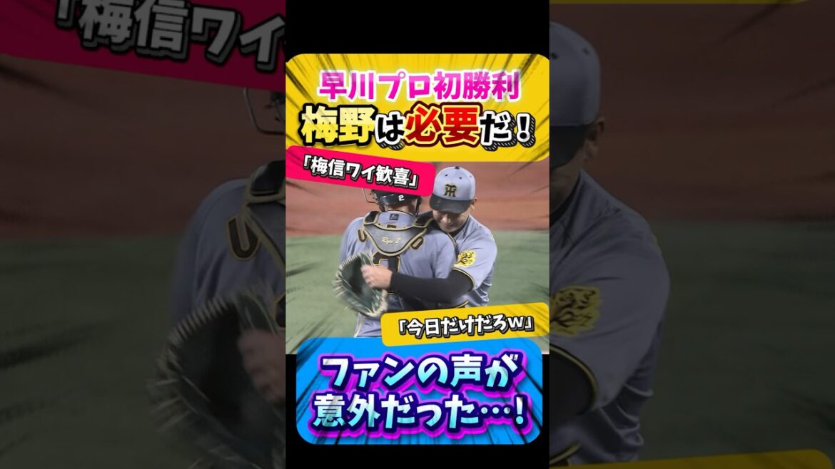 【朗報】梅野は阪神に必要だ！早川プロ初勝利！しかし気に食わない人も…