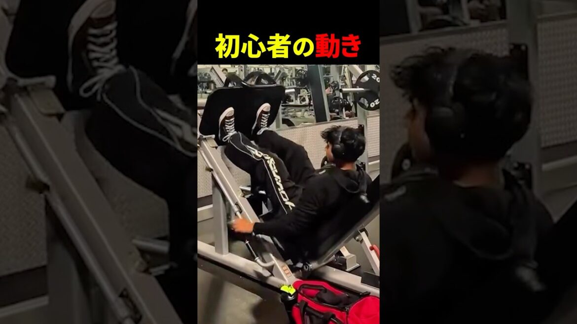 ジムに通い始めたばかりの人の見分け方【世界の筋肉】