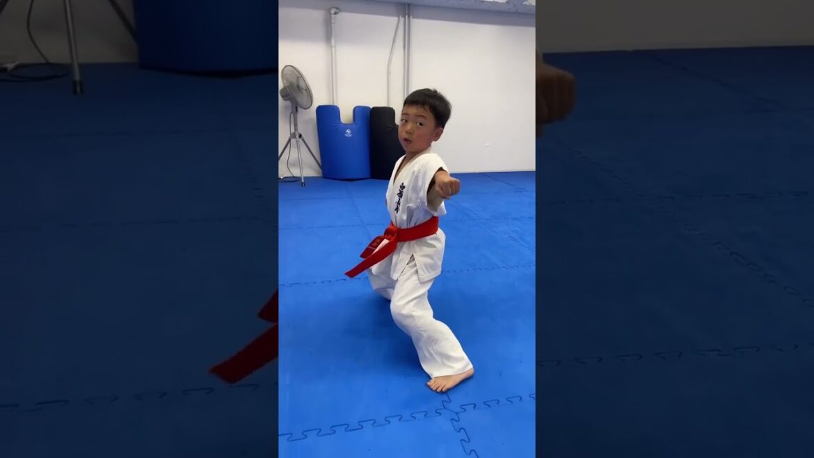 【新極真会 空手】これで突きが強くなる!!世界大会2連覇島本雄二が教えるパワーアップ法 SHINKYOKUSHINKAI KARATE Martial Arts 【新極真会 空手】これで突きが強くなる!!世界大会2連覇島本雄二が教えるパワーアップ法 SHINKYOKUSHINKAI KARATE Martial Arts