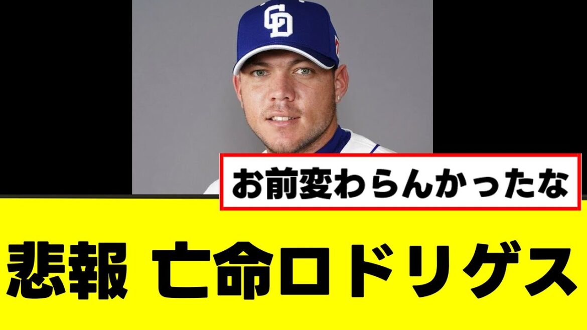 【悲報】元中日ロドリゲス、亡命先で悲しい決定が下されるwww