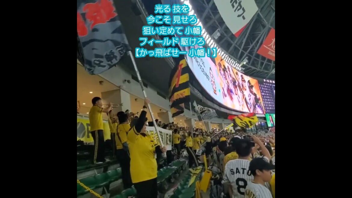 20251025　大分出身！試合後、九州の血が騒ぐ【小幡竜平 ﾋｯﾃｨﾝｸﾞﾏｰﾁ】　#shorts　応援歌@みずほPayPayﾄﾞｰﾑ福岡･内野3塁側［SMBC日本ｼﾘｰｽﾞ2025第1戦］