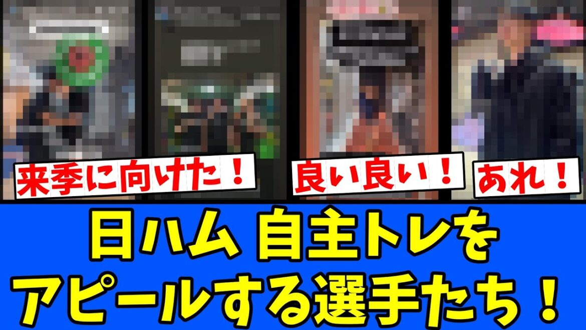 【日ハム】自主トレをアピールする選手たち！