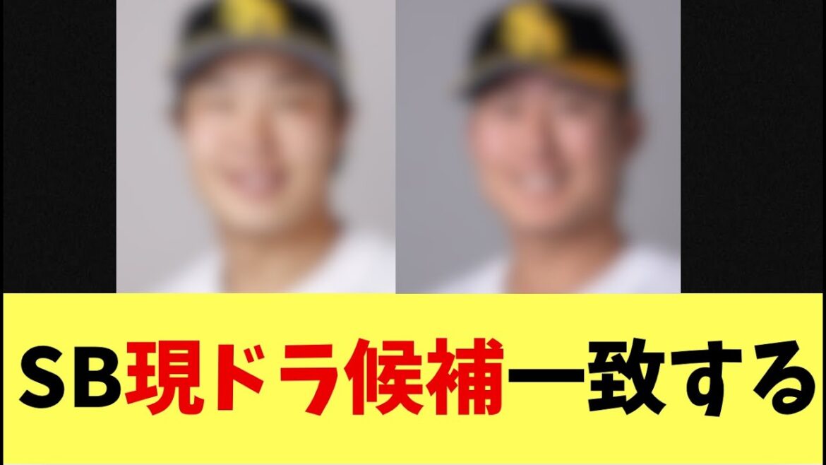 【現ドラ】ソフトバンクホークスの2025現役ドラフト候補一致する