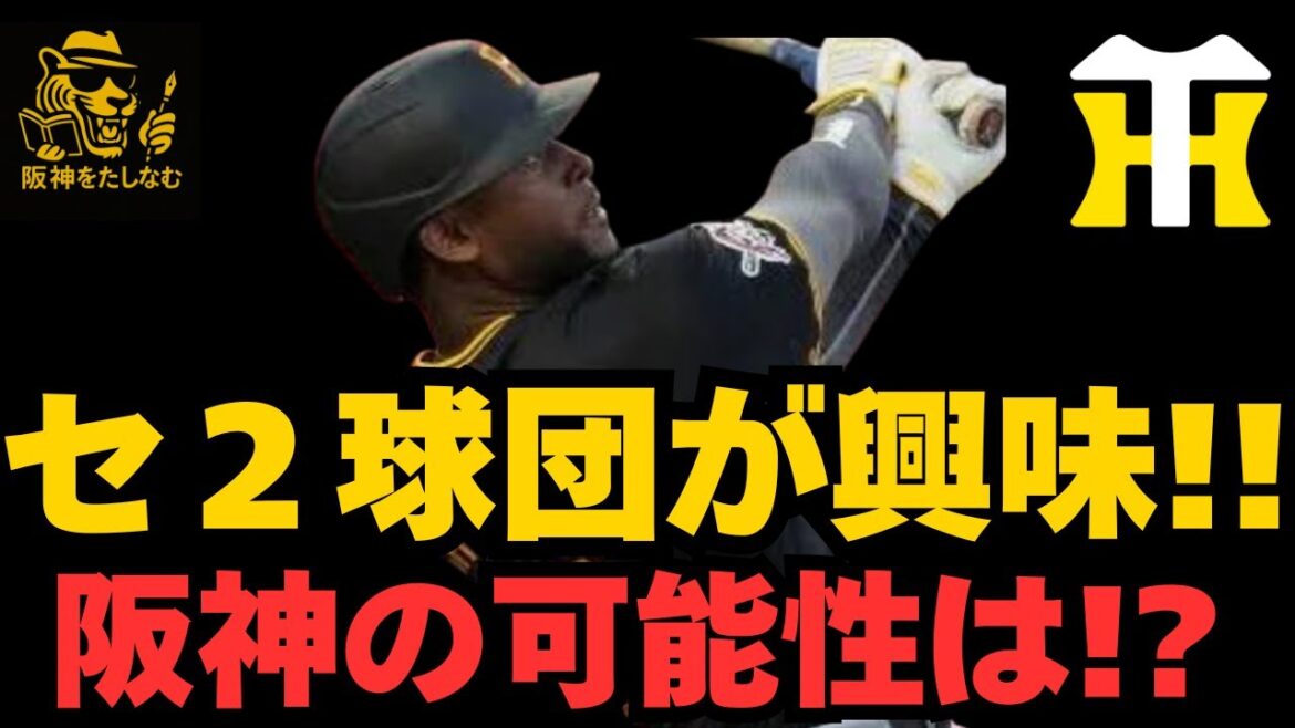 若き長距離砲‼️アレクサンダー・カナリオがNPB移籍報道⁉️阪神の可能性は⁉️阪神新外国人考察🔥#阪神タイガース #阪神 新外国人#新外国人候補 2026#アレクサンダー・カナリオ#にっきーろぺす 若き長距離砲‼️アレクサンダー・カナリオがNPB移籍報道⁉️阪神の可能性は⁉️阪神新外国人考察🔥#阪神タイガース #阪神 新外国人#新外国人候補 2026#アレクサンダー・カナリオ#にっきーろぺす
