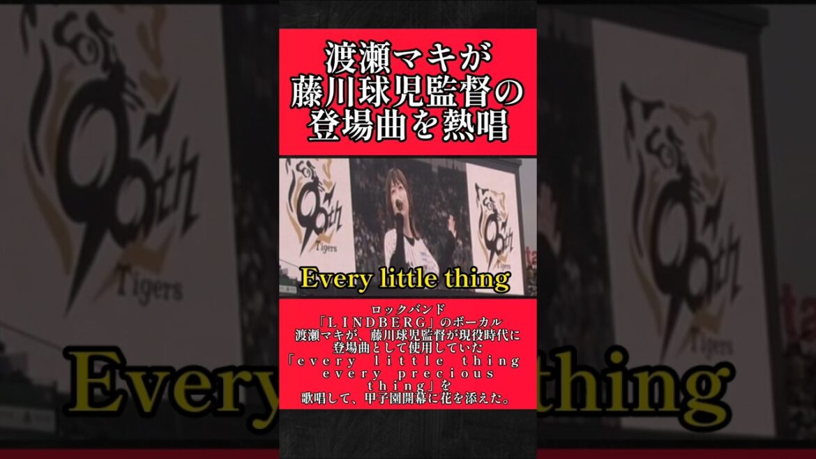 【阪神】渡瀬マキが藤川監督の登場曲を熱唱！ #阪神 #阪神タイガース #藤川球児 #渡瀬マキ #LINDBERG #shorts