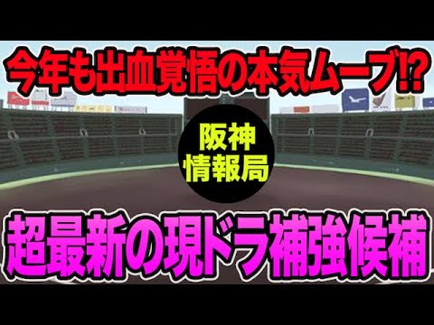 【球団側が既に補強ポイントを明言】阪神が今年も現役ドラフトで本気を出しそうな件について【阪神タイガース】 【球団側が既に補強ポイントを明言】阪神が今年も現役ドラフトで本気を出しそうな件について【阪神タイガース】