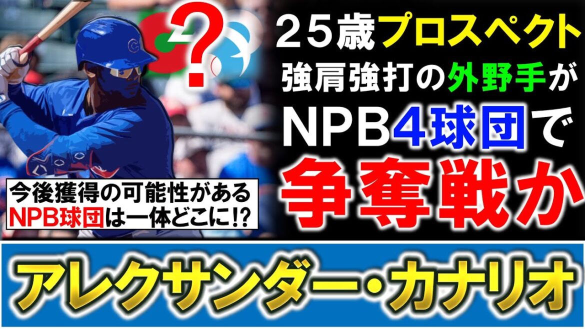 【ピンズドな球団多数！？】新外国人候補として『アレクサンダー・カナリオ』がＮＰＢ４球団で争奪戦に！？２５歳強肩強打の外野手を今後獲得の可能性がある球団は一体どこに！？