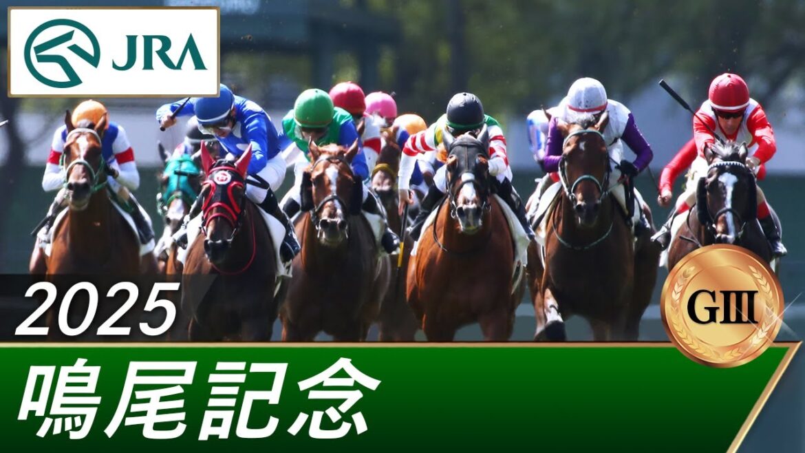 2025年 鳴尾記念(GⅢ) | 第78回 | JRA公式 2025年 鳴尾記念(GⅢ) | 第78回 | JRA公式