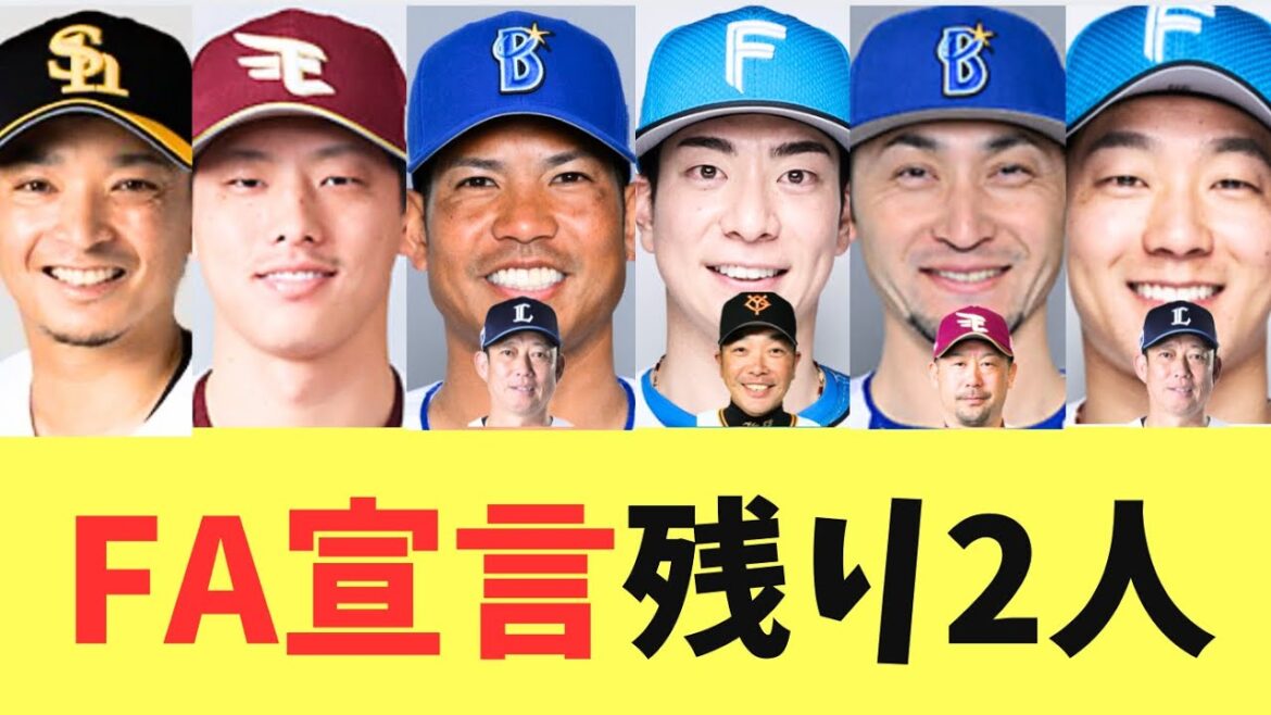 【FA】FA宣言した日ハム石井が西武に決まり、残りFA組は東浜と辰巳の2人に