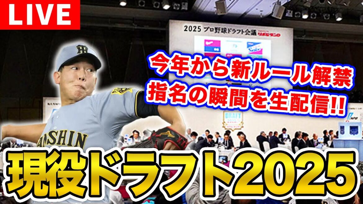 【阪神ファン集合！】現役ドラフト2025を一緒に観戦しよう。【阪神タイガース】【プロ野球】