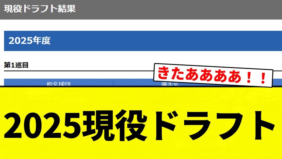 【発表や！】2025現役ドラフト【プロ野球反応集】【2chスレ】【なんG】