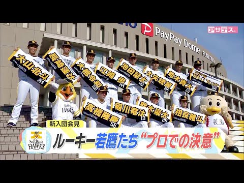 新入団会見 若鷹 未来を担うスター候補たち【スポーツキラリ★】 新入団会見 若鷹 未来を担うスター候補たち【スポーツキラリ★】