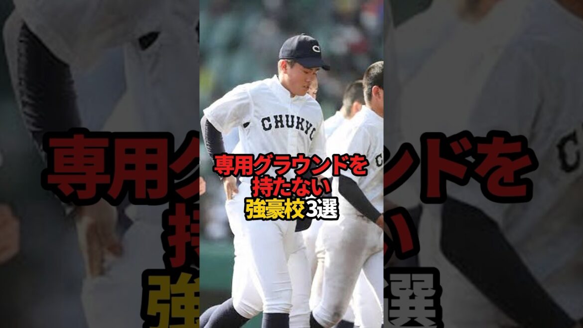 専用グラウンドを持たない強豪校 3選#sports#shorts #高校野球 #野球 #やきゅスト