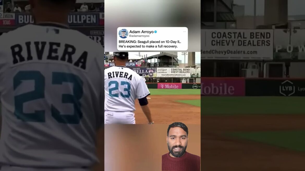 poor Bird #baseball #mlb