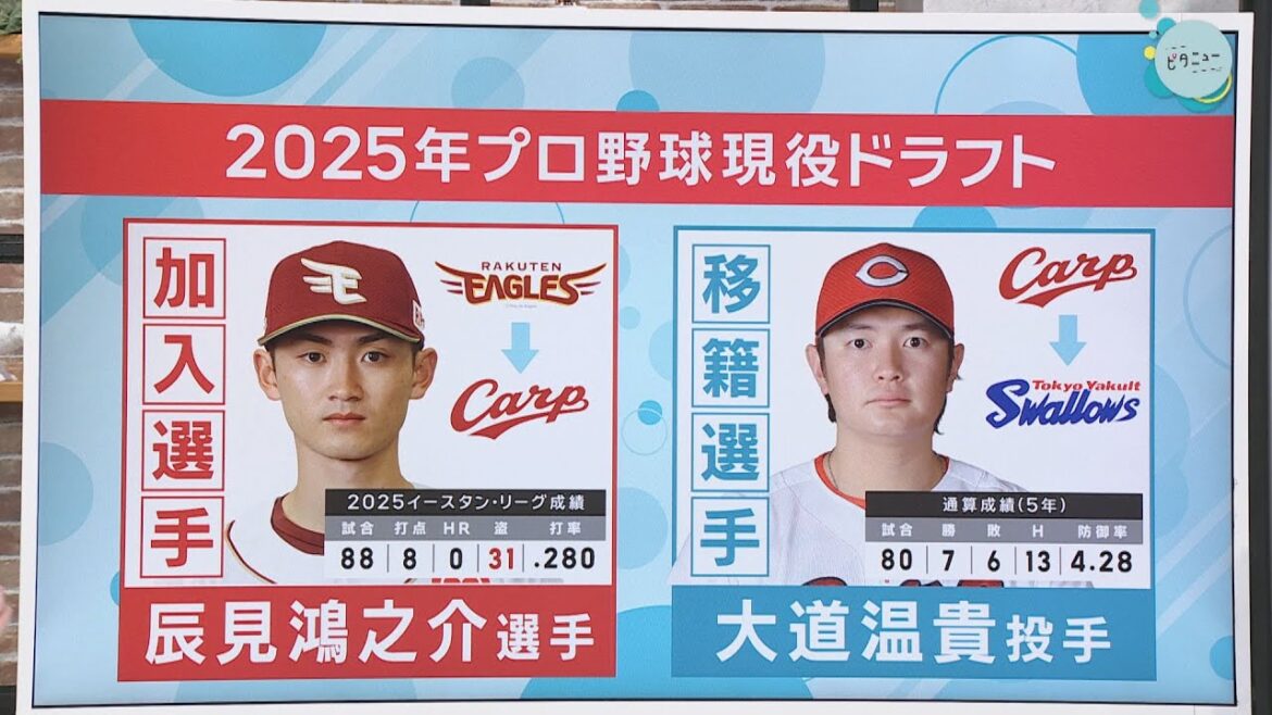 【現役ドラフト】楽天から辰見 大道がヤクルトへ｜辰見鴻之介｜大道温貴｜勝ちグセ｜Carpカープ｜ピタニュー