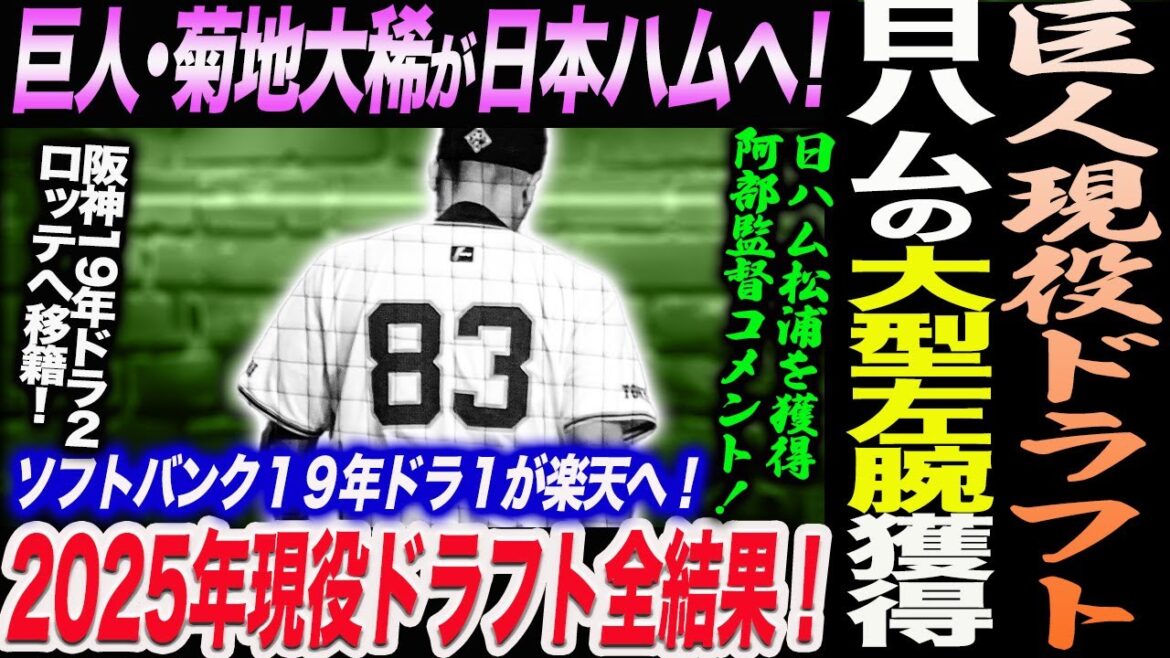 2025年現役ドラフト全結果考察！巨人は日ハムの大型左腕獲得！菊地大稀が日本ハムへ ！阿部監督コメント！ソフトバンク１９年ドラ１が楽天へ！読売巨人軍 ジャイアンツ 巨人 GIANTS 阿部監督
