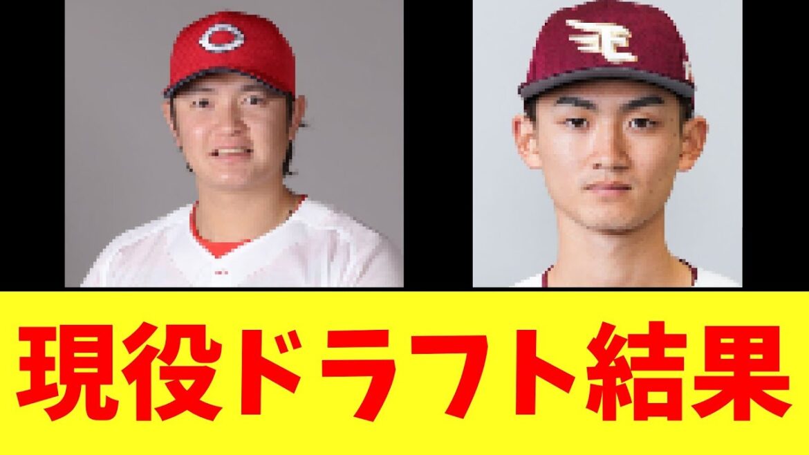 【カープ速報】現役ドラフト、決定する