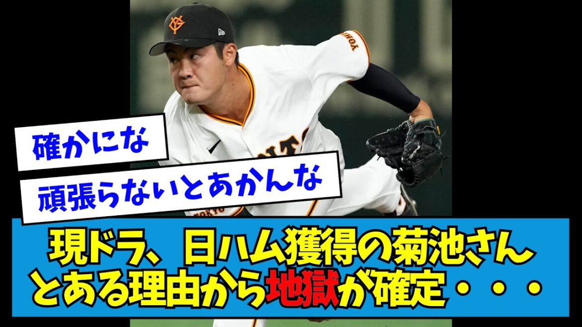 【悲報】現ドラ日ハム獲得の菊池さん、とある理由から地獄が確定・・・【なんJ反応】