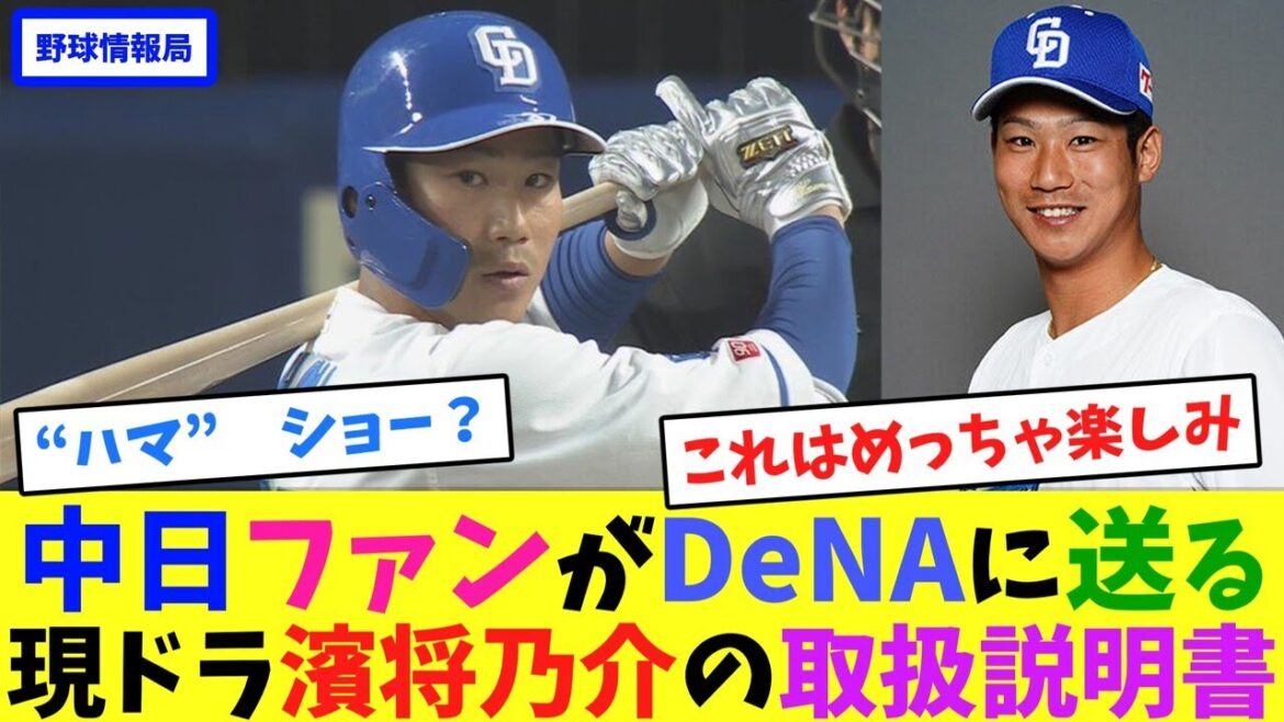 中日ファンがDeNAに送る現ドラ濱将乃介の取扱説明書【ネット情報局】
