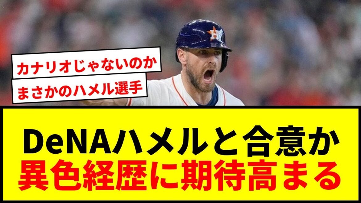 【速報】DeNAが“異色経歴”ハメル外野手と合意か！オプション付2年契約でケイら退団へ