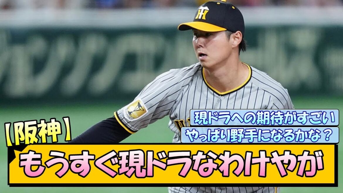 【阪神】もうすぐ現役ドラフトなわけやが
