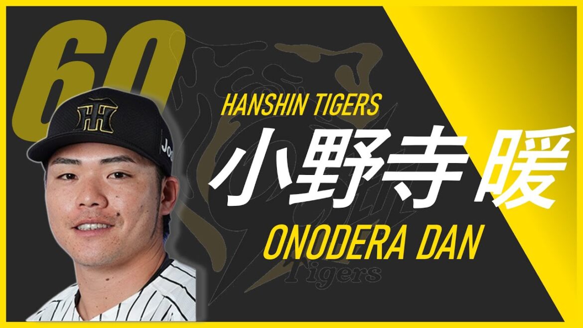 【阪神応援歌】阪神 小野寺暖 応援歌【阪神タイガース】 #阪神タイガース #応援歌 #阪神応援歌