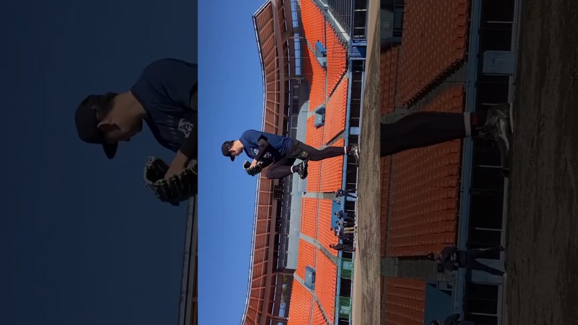 🐯岩崎優投手 両ﾘｰｸﾞTOPの９ｾｰﾌﾞ目👏