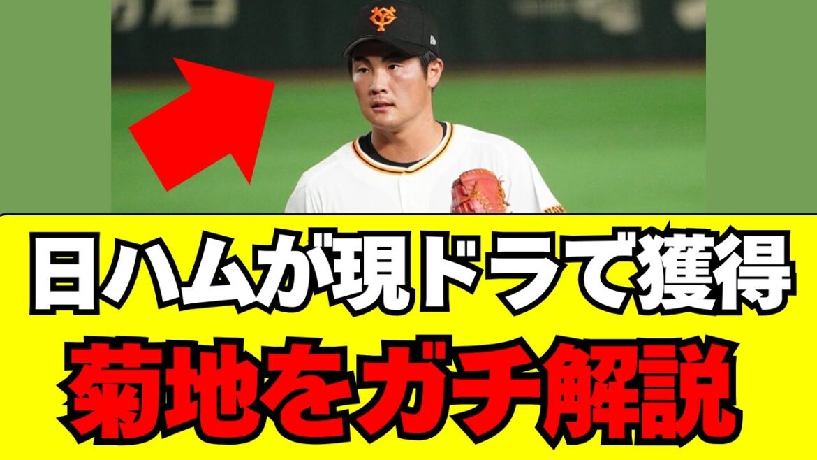【日本ハム】現役ドラフトで獲得した菊地大稀をガチ解説！！