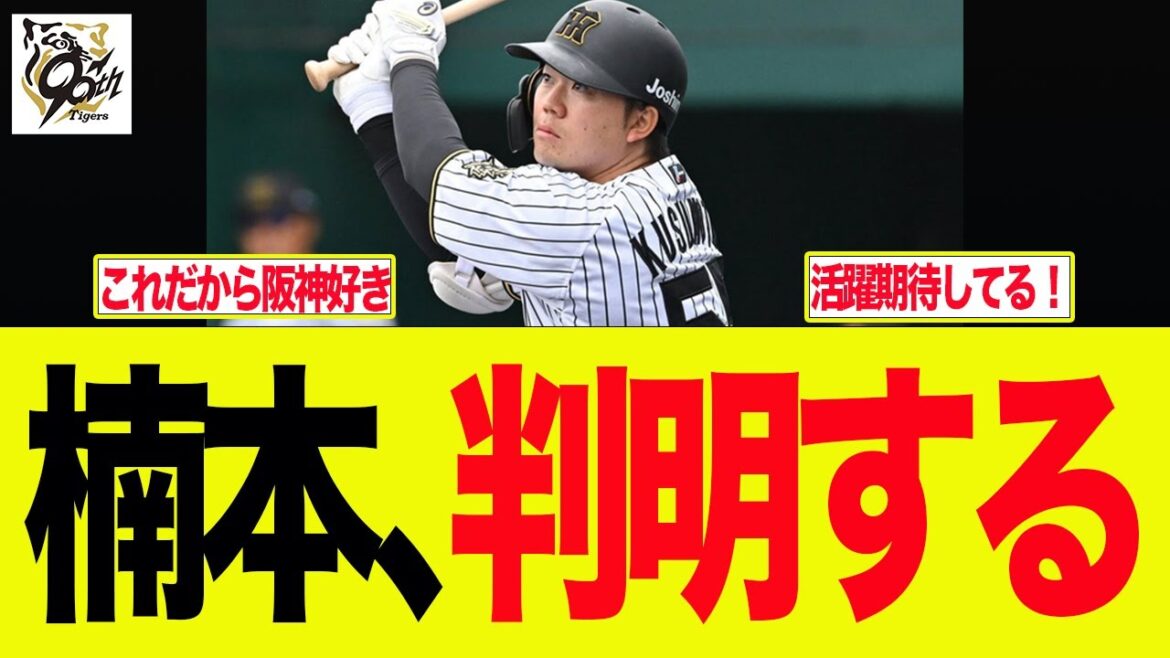 【阪神】楠本、判明する　　阪神ファンの反応集
