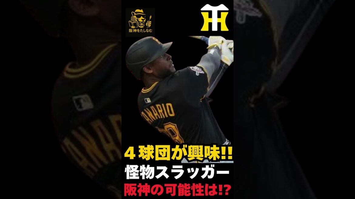若き長距離砲‼️アレクサンダー・カナリオがNPB移籍報道⁉️阪神の可能性は⁉️【阪神新外国人候補考察‼️】#阪神タイガース #阪神 新外国人#新外国人候補 2026#アレクサンダー・カナリオ#デバニー 若き長距離砲‼️アレクサンダー・カナリオがNPB移籍報道⁉️阪神の可能性は⁉️【阪神新外国人候補考察‼️】#阪神タイガース #阪神 新外国人#新外国人候補 2026#アレクサンダー・カナリオ#デバニー