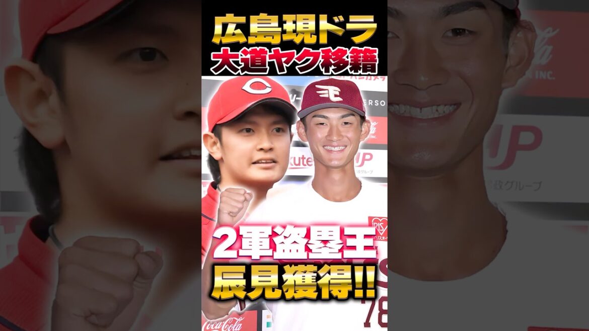 広島カープ現役ドラフトで楽天辰見鴻之介を獲得！大道温貴はヤクルトに移籍 #辰見鴻之介 #カープ #現役ドラフト