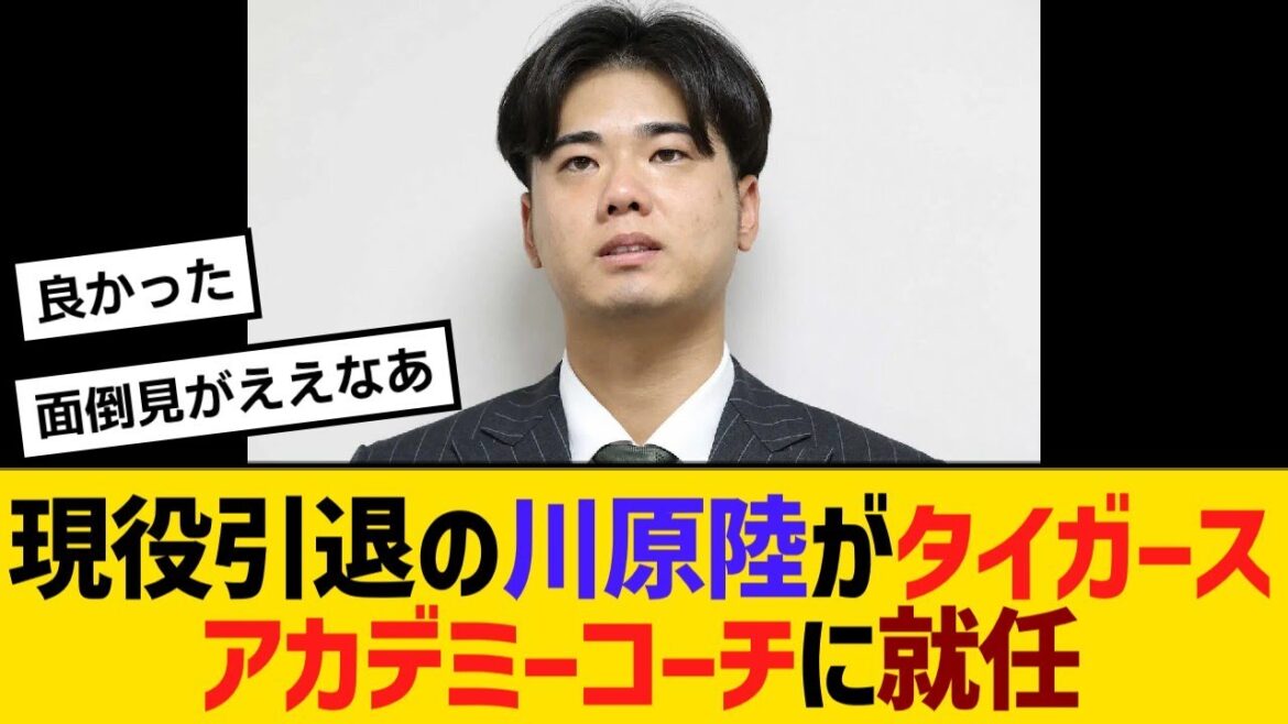 現役引退の元阪神川原陸が、タイガースアカデミーコーチに就任【野球】【反応】【考察】