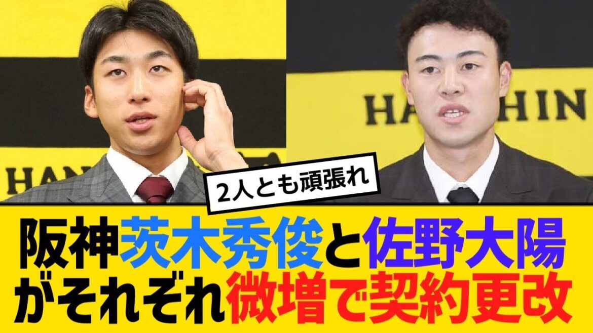 阪神茨木秀俊と佐野大陽がそれぞれ微増で契約更改【野球】【反応】【考察】 阪神茨木秀俊と佐野大陽がそれぞれ微増で契約更改【野球】【反応】【考察】