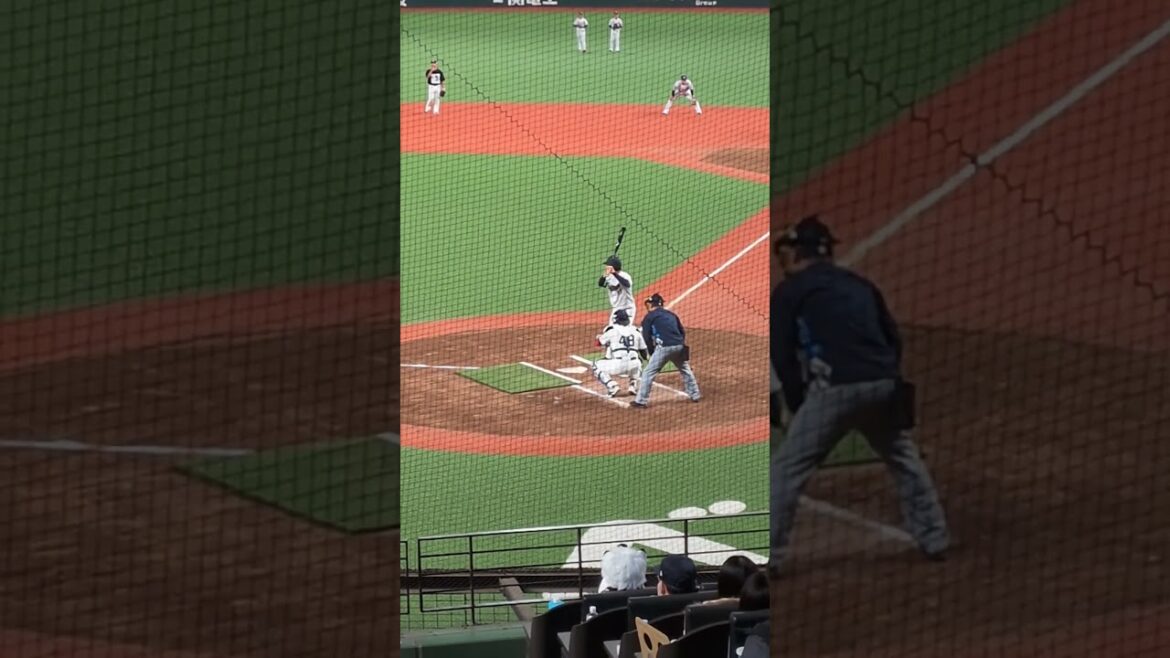 メジャーが悲鳴😱😱😱捕手今井達也