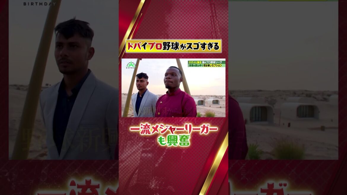 ドバイプロ野球がスゴすぎる‼️