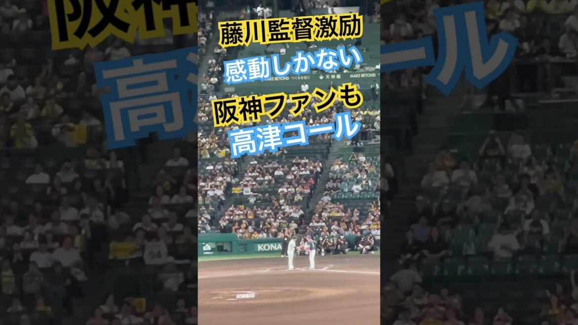 #甲子園 #藤川球児 #高津臣吾 #藤川監督 #高津監督 #阪神甲子園球場 #阪神タイガース #東京ヤクルトスワローズ