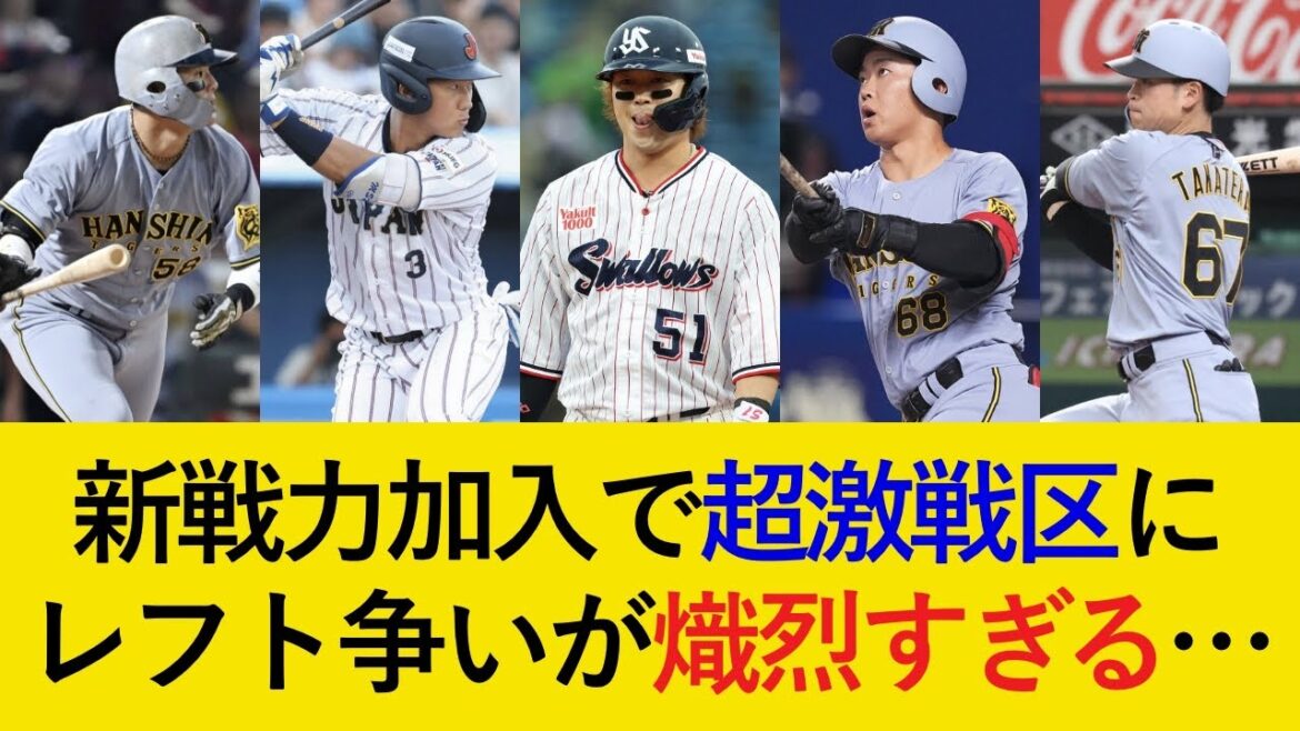 【5人以上の争いか...】即戦力が続々加わったレフト争いがやばすぎる...。立石・濱田のレギュラー獲りも!?【阪神タイガース】