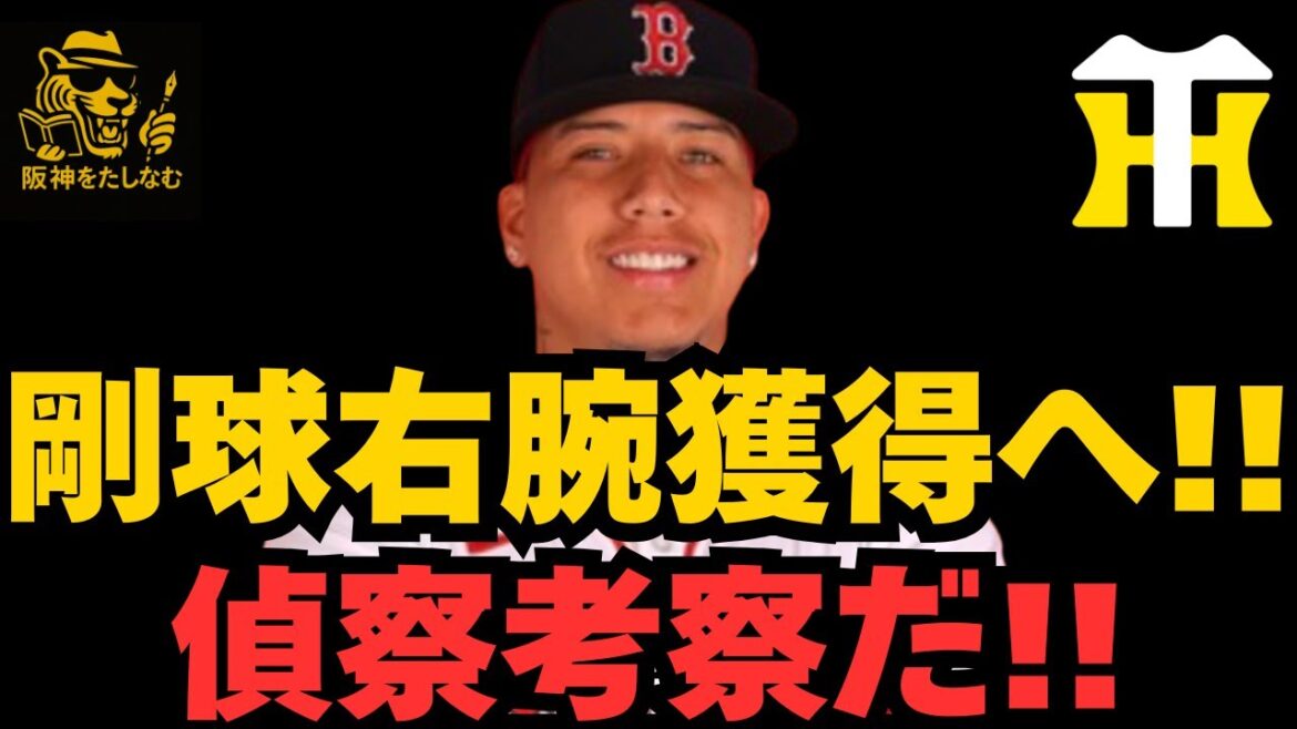 ブライアン・マタがNPBへ‼️巨人が獲得へ⁉️偵察考察だ‼️#阪神タイガース #阪神 新外国人#新外国人候補 2026#ブライアン・マタ 巨人#ルーカス#デバニー#ジャイアンツ#にっきーろぺす ブライアン・マタがNPBへ‼️巨人が獲得へ⁉️偵察考察だ‼️#阪神タイガース #阪神 新外国人#新外国人候補 2026#ブライアン・マタ 巨人#ルーカス#デバニー#ジャイアンツ#にっきーろぺす