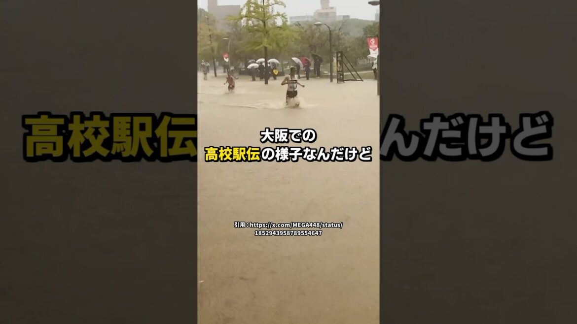 【衝撃】今年の大阪高校駅伝が悪天候すぎると話題に...!? #陸上 #駅伝 #ランニング #陸上長距離 #shorts