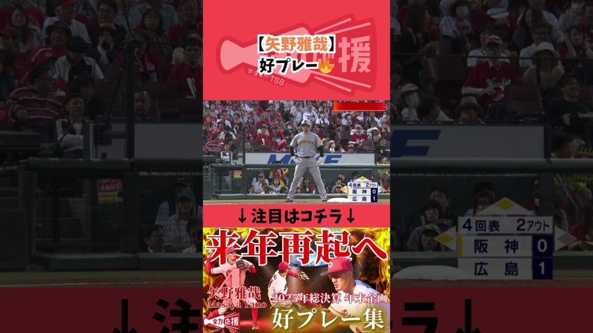 矢野雅哉好プレー🔥【球団認定】カープ全力応援チャンネル