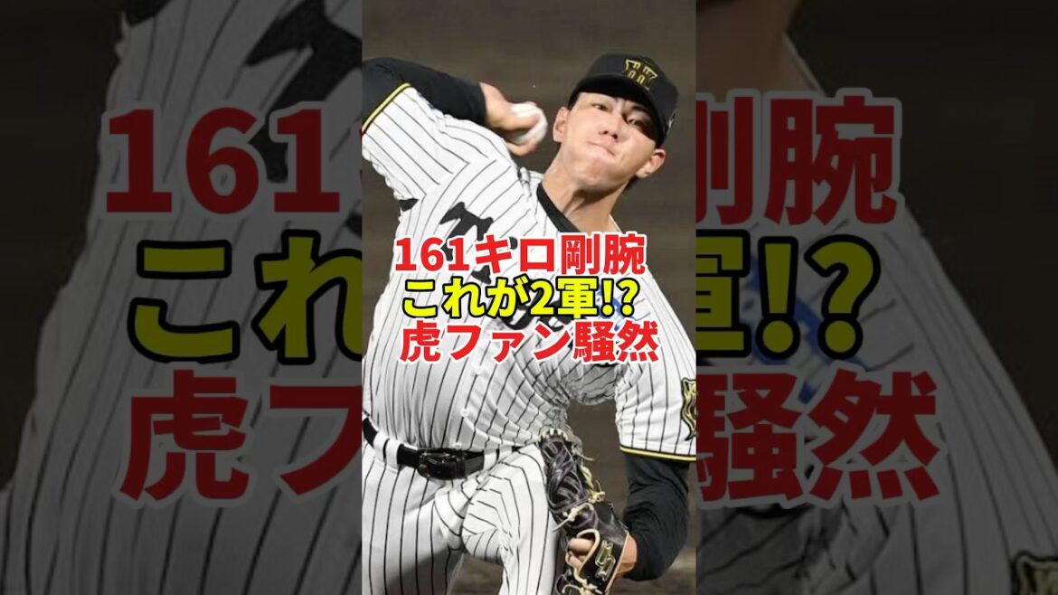 【161キロ】阪神23歳・工藤泰成が衝撃剛速球!「こんなのが2軍に…」球場騒然#shorts #プロ野球 #野球 #阪神タイガース #工藤泰成 #フレッシュオールスター #セリーグ 【161キロ】阪神23歳・工藤泰成が衝撃剛速球!「こんなのが2軍に…」球場騒然#shorts #プロ野球 #野球 #阪神タイガース #工藤泰成 #フレッシュオールスター #セリーグ