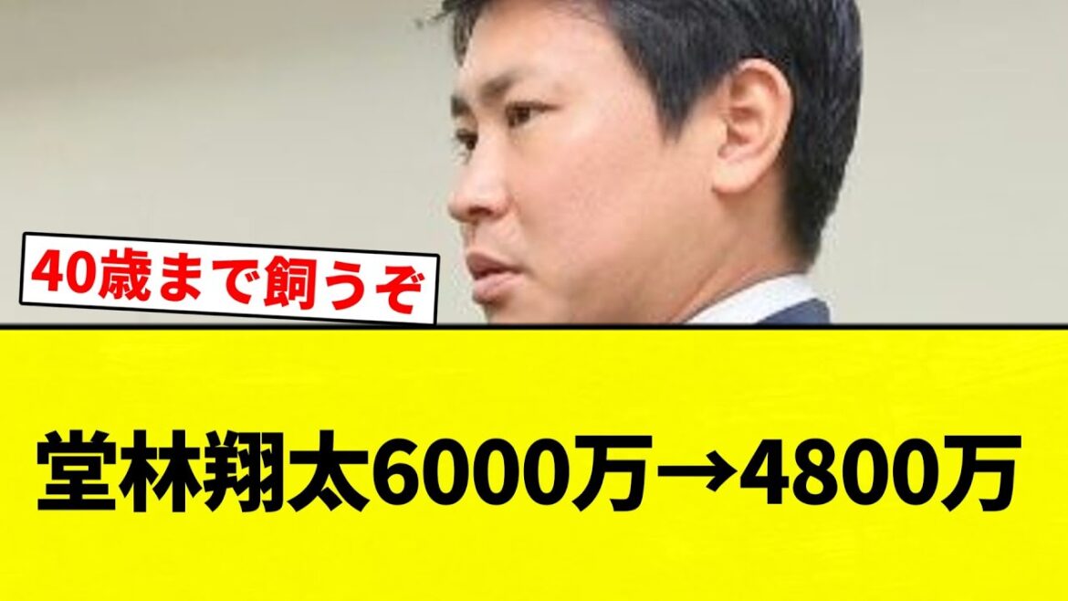 【ライドラ広角だよ!】堂林翔太6000万→4800万【プロ野球反応集】【2chスレ】【なんG】 【ライドラ広角だよ!】堂林翔太6000万→4800万【プロ野球反応集】【2chスレ】【なんG】