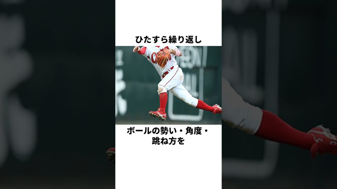 「神業守備の秘密」菊池涼介について解説#野球#菊池涼介 #野球雑学 「神業守備の秘密」菊池涼介について解説#野球#菊池涼介 #野球雑学